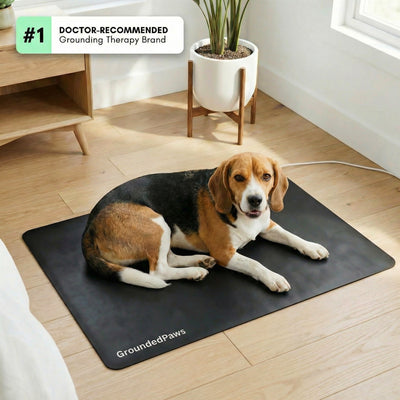 GroundedPaws™ Mat